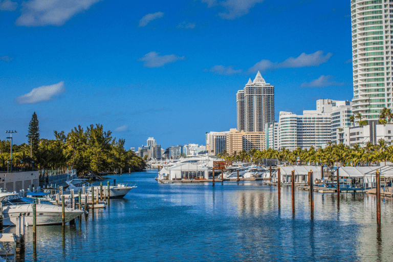 LLC Business License in Florida