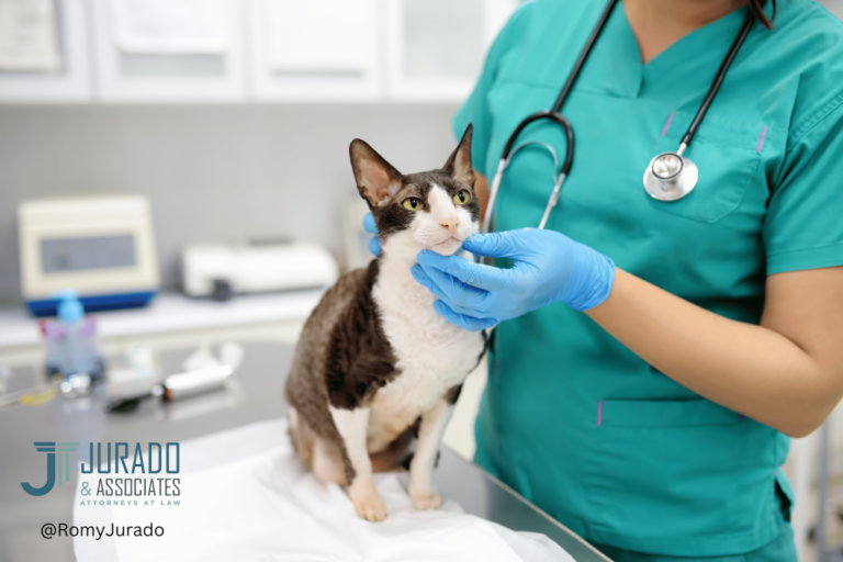 Can a Non-veterinarian Own a Veterinary Practice in Florida?